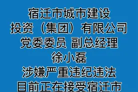 案件通报：宿迁市城市建设投资（集团）有限公司党委委员、副总经理徐小磊涉嫌严重违纪违法，目前正在接受宿迁市纪委监委纪律审查和监察调查。#反腐倡廉 #监察调查 #宿迁 #城投视频封面