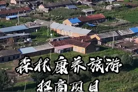 友好林业局森林康养旅游招商项目#天津市黑龙江商会视频封面
