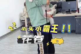 疯狂咬人的小霸王“花卷”也有柔情的一面 #比熊 #万物可爱计划 #宅家治愈记 #壹陸训犬