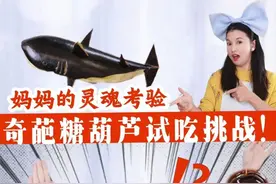 双胞胎挑战！万物皆可糖葫芦！ 这些糖葫芦，你敢挑战吃那个？#开心又好奇 #双胞胎 #挑战 #糖葫芦 #创意美食视频封面