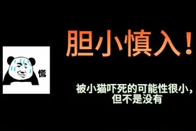 刚好切换的夜视模式和突然出现的小猫，成功被吓到 #奶牛猫视频封面
