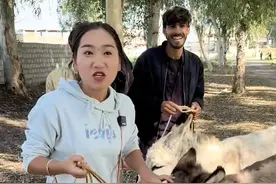 巴基斯坦整头驴，需要多少人民币#巴基斯坦友谊村 #记录海外生活 #国外什么值得买 #驴 #抖音美食推荐官