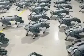 中国工厂内上百只机器狗整齐划一地进行训练，场面堪比科幻大片视频封面