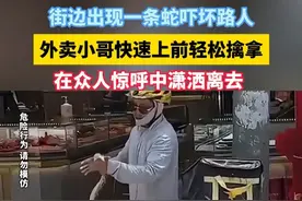 街边出现一条蛇吓坏路人，外卖小哥快速上前轻松擒拿！#路人视角  #现场实拍  #这操作都看傻了视频封面