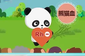 “熊猫血”是Rh阴性血型的俗称。这种血型为啥被称为“熊猫血”？了解一下~#什么是黄金血 视频封面