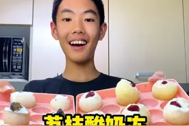 试着做的荔枝酸奶冻，还挺好吃的~ #荔枝酸奶冻