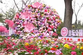 随着北京春意日渐浓郁，朝阳区哪些公园绽放着最迷人的春日景致呢视频封面