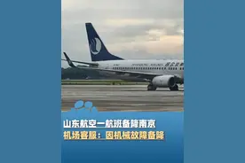 山东航空一航班备降南京，机上乘客：有烧焦的味道，机场客服：因机械故障备降（极目新闻）@司凯 #大象主播说