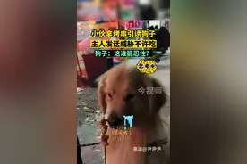 （来源@尹尹尹 ）小伙拿烤串引诱狗子，主人发话威胁不许吃，狗子：这谁能忍住？#萌宠 #狗子 #原谅我不厚道的笑了视频封面