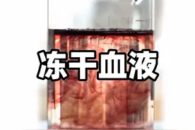只要加水复原，就能直接用来输血的“冻干血液”。 “冻干血液”，是一种被制成粉末，只要加水复原，就能直接用来输血的人造血液。它体积小，重量轻，非常适合军用野战救护、救灾抢险，或者是没有完善血库的偏远乡村医院。#冻干血液 #人造血液 #血液 #输血 #抖音精选