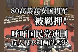 80高龄高安国将军被羁押！呼吁国民党速删反人权不利两岸恶法视频封面