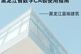 第一期企业CA锁申请 #教学视频 #艺术在抖音视频封面