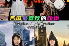 不同国家最喜欢的动物 #动物 #冷知识 #涨知识视频封面