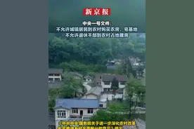 中央一号文件：不允许城镇居民到农村购买农房、宅基地  不允许退休干部到农村占地建房视频封面