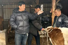 全网粉丝超千万，龙兽医来了！从乡间牛棚到千万流量，龙殿俊用三十年光阴诠释何为牲畜“天使”。“龙一针”“扯犊子”的诙谐背后，是踏遍黑龙江省巴彦县每个角落的坚守。这位总把挂号本攥出汗的兽医，仍在续写着黑土地上的温情故事。#龙兽医 #秀我中国 @龙腾虎跃（龙殿俊）视频封面