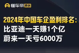 2024年中国车企盈利排名：比亚迪一天赚1个亿 蔚来一天亏6000万 #比亚迪 #蔚来 #数据有话说