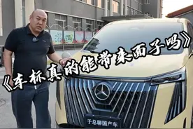 车标真的能带来面子吗？即便可以，这个面子又能持续多久呢#国产车 #合资车 #面子问题视频封面