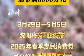 沈阳又双叒要发消费券了！本周六开始，分5轮发放！总金额6000万元#沈阳惠民消费券 #山海有情天辽地宁 #四季游辽宁视频封面