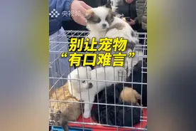 央视曝光低价宠物粮乱象