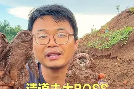 一条清道夫能吃多少鱼卵？跟着大江去除害，见证河道新生 #dou来广东百千万 #清道夫 #外来入侵物种 #我的乡村生活