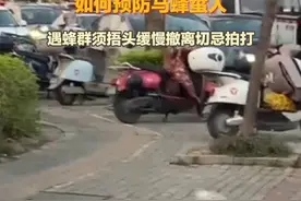 南宁一男孩遭马蜂群攻倒地   专家详解户外活动如何预防马蜂蜇人  遇蜂群须捂头缓慢撤离切忌拍打视频封面