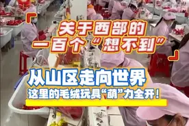 关于西部的一百个“想不到”｜从山区走向世界 这里的毛绒玩具“萌”力全开！视频封面