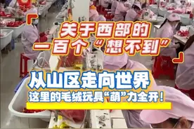 关于西部的一百个“想不到”｜从山区走向世界 这里的毛绒玩具“萌”力全开！视频封面