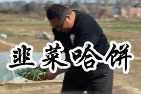 头茬韭菜，带着春天独有的鲜灵劲儿。在农村的厨房里，它变身金黄酥脆的韭菜哈饼，那香味飘满院子，是家的味道，是春天最暖的慰藉#农村美食 #我的乡村生活 #新农人计划2025视频封面