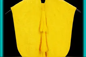 抽出120万根蜘蛛丝，只为了做一件衣服 抽出120万根蜘蛛丝，只为了做一件衣服#百科 #科普 #科普知识 #冷知识 #科学高光故事集 视频封面