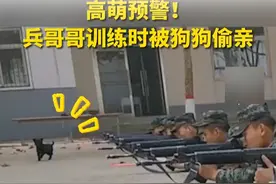 高萌预警！兵哥哥训练时被狗狗偷亲。