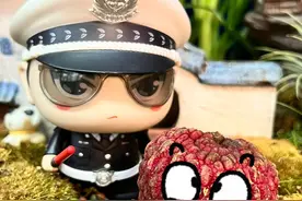 吃了几颗荔枝就被查出酒驾？是真的吗（供稿新城大队 拍摄 剪辑 靳蕾/出镜 薛鑫）#文明守法平安回家 #酒后驾驶