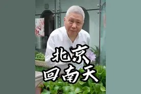 出门感觉像是被牛舔了。#大有学问 #北京回南天 #北京下雨