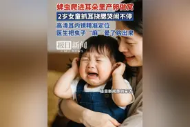 蜱虫爬进耳朵产卵做窝，2岁女童抓耳挠腮哭闹不停，高清耳内镜精准定位，医生把虫子“麻”晕了钩出来