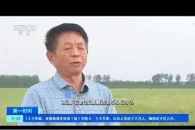 #油菜 #高产油菜品种排名 #油菜品种产量排名 #种油菜 #油菜种植视频封面