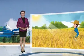 明天早晨全市大部地区有霜冻或轻霜冻视频封面