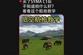 无人机低空飞行，学会了超越90%的无人机玩家视频封面