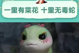 怕蛇的可以在家里养一条菜花蛇 #菜花蛇 #万万没想到 #百蛇之王 #震惊 #内容启发搜索视频封面