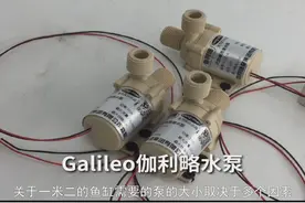 一米二的鱼缸用多大的泵视频封面