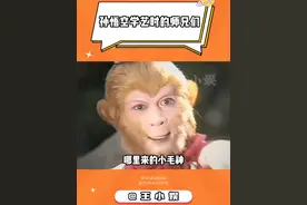 孙悟空学艺时的师兄们在当时都是什么水平 #孙悟空 #西游记 #筋斗云 #师兄视频封面