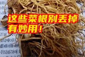 葱根、芹菜根、香菜根、蒲公英根，这些菜根是“宝贝”！植物越接近根部，药性越好。#营养师提醒这些菜根别丢掉 有妙用！ #谈谈新知