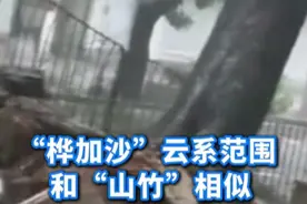 “桦加沙”云系范围和“山竹”相似，但登陆时强度会比“山竹” 更强，“桦加沙”8级风圈几乎覆盖整个广东。#桦加沙云系范围和山竹相似  #桦加沙登陆时会比山竹更强