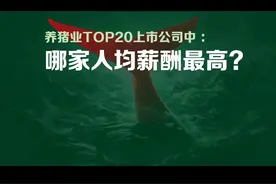 养猪业TOP上市公司中，哪家人均薪酬最高？视频封面