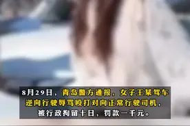 #逆行打人的路虎女司机为城管工作人员 ？ 青岛崂山城管局：系重名视频封面