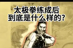 太极拳练成后到底是什么样的？ 进退神速、虚实莫测、身似猿猴、手如运球，犹太极浑圆一体也。 #中华武术博大精深 #太极拳 #太极入门