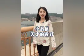 小浪底水利枢纽工程，天才的排沙设计！ #小浪底排沙 #小浪底水库泄洪视频封面