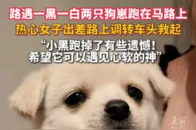 #出差路遇流浪狗女子果断上前救助 ：小黑狗跑掉了很遗憾，希望它可以遇见心软的神！（来源：@一梓今天干嘛 ）视频封面
