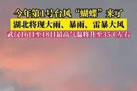 今年第1号台风“蝴蝶”来了，湖北或受影响，武汉6月14日中到大雨 。#暴雨 #武汉天气 #台风