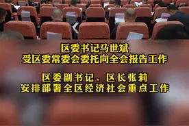 中国共产党白银市白银区 第十二届委员会第四次全体会议召开视频封面