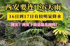 西安要连下6天雨！16日到17日有较明显降水，网友：西安下的是温泉雨吗？ #西安   #下雨天   #天气预报  #降水视频封面
