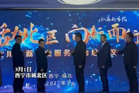 #西宁 #青海西宁城北区大单签到手软  签约浙江大华 阿里巴巴本地生活集团等20家企业 意向投资金额达4.25亿元 项目营收将超过4.73亿元视频封面
